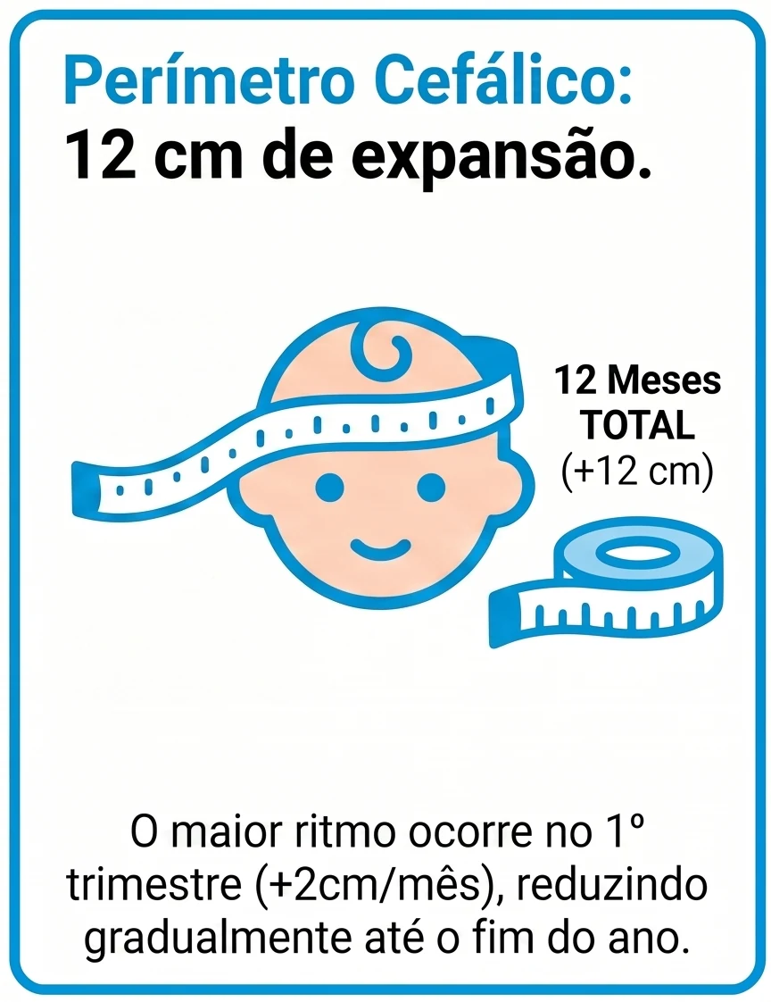 Infográfico de apoio visual sobre perímetro cefálico